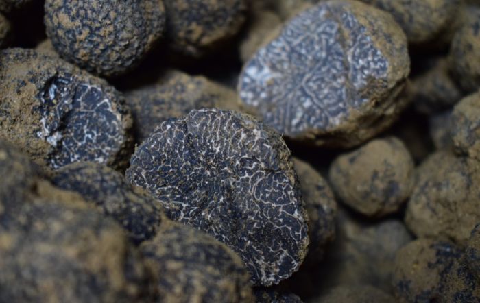 Truffe Deuxième Qualité